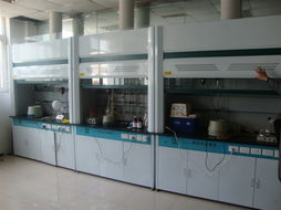 新民通風柜 騰遠新民通風柜生產制造商與技術服務解析